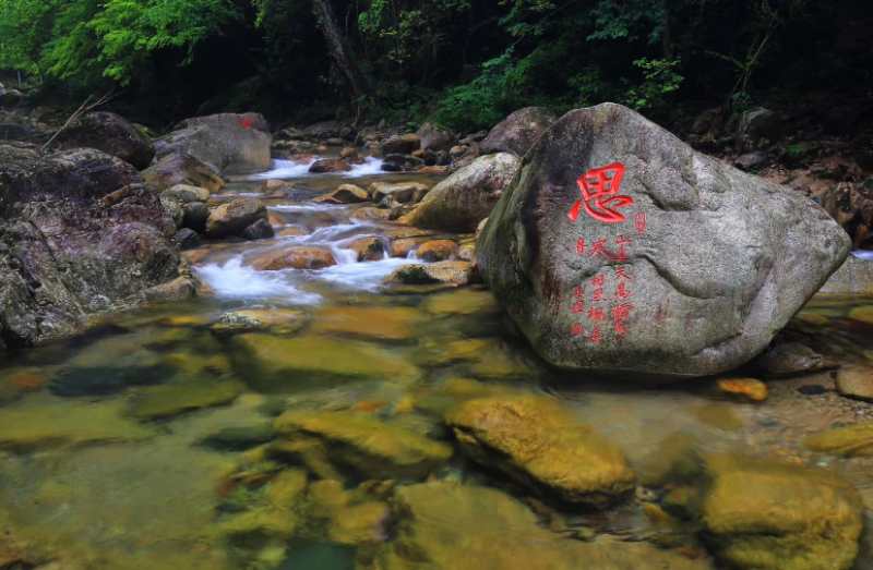 醉山野景区